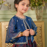 Printed Lehnga With Embroidered Top (DGFS-47)
