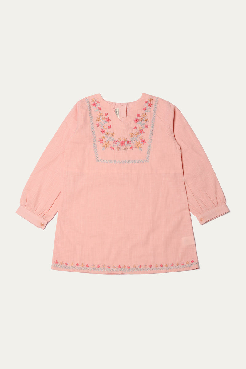 Hand Embroidered Top (BLH-14)