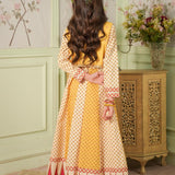 Embroidered Paneled Shirt With Koti And Straight Pants (DGFS2-04)