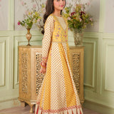Embroidered Paneled Shirt With Koti And Straight Pants (DGFS2-04)