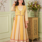 Embroidered Paneled Shirt With Koti And Straight Pants (DGFS2-04)