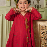 Printed And Embroidered Shirt & Trousers (DGFS2-01)