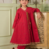 Printed And Embroidered Shirt & Trousers (DGFS2-01)