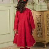Printed And Embroidered Shirt & Trousers (DGFS2-01)