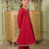 Printed And Embroidered Shirt & Trousers (DGFS2-01)