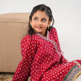 Printed Kurti With Emb (DGK-433)