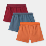 Briefs (Pack Of 3) (B-BRIEF-031)