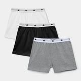 Briefs (Pack Of 3) (B BRIEF-028)