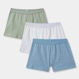 Briefs (Pack Of 3) (B BRIEF-030)