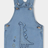 Dungaree With Bodysuit (BD-198)