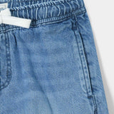 Denim Shorts (BDS-503)