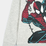 Boys Printed Sweatshirt (BKTF-064)