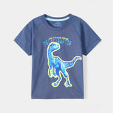 Raglan T Sleeve Graphic T-Shirt (BKTJ-113)