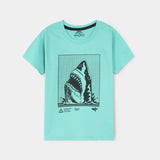 Graphic T-Shirts (Pack Of 3) (BKTPJ-039)