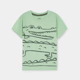 Graphic T-Shirts (Pack Of 3) (BKTPJ-039)