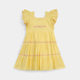 Embroidered Frock (CF-604)