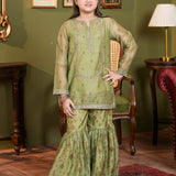 Embroidered Shirt With Slip Gharara (DGFS-36)