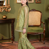 Embroidered Shirt With Slip Gharara (DGFS-36)