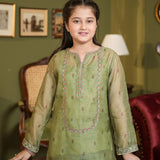 Embroidered Shirt With Slip Gharara (DGFS-36)