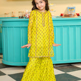 Embroidered Kameez With Slip And Gharara (DGFS-54)