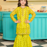 Embroidered Kameez With Slip And Gharara (DGFS-54)