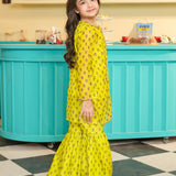 Embroidered Kameez With Slip And Gharara (DGFS-54)