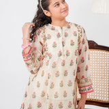 Embroidered Kameez With Slip And Trousers (DGFS-56)