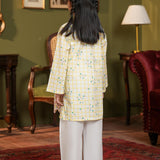 Embroidered Kurti (DGK-429)