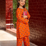 Embroidered Kameez With Trousers (DGKS-183)