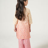 Embroidered Kameez With Trousers (DGKS-195)