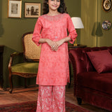 Embroidered Kameez With Trousers (DGKS-206)