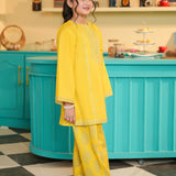 Embroidered Kameez With Shalwar (DGKS-222)