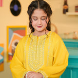 Embroidered Kameez With Shalwar (DGKS-222)