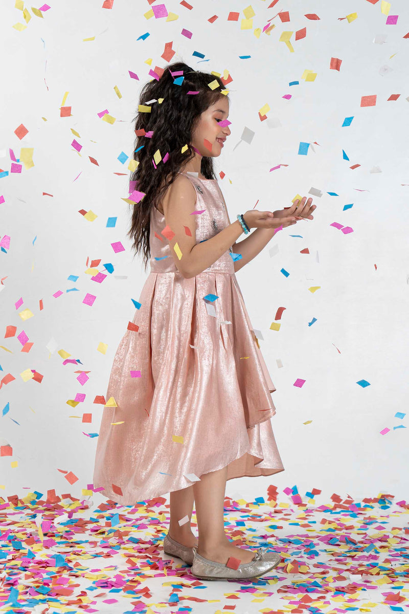 Embellished Party Frock (PPF-184)