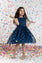 Embellished Party Frock (PPF-185)