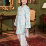 Embroidered Kameez And Embroidered Shalwar (DGKS-218)