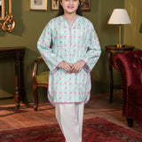 Embroidered Kameez And Embroidered Shalwar (DGKS-218)