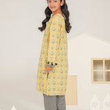 Printed Kameez Shalwar (DGKSB2-10)