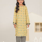 Printed Kameez Shalwar (DGKSB2-10)