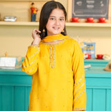 Embroidered Shirt And Bottom Embroidered Sharara With Chiffon Dupatta. (EFW-02)