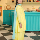 Embroidered Peplum With Plazo Pants And Dupatta. (EFW-09)