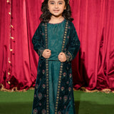 Velvet Embroidered Gown With Blouse And Flared Pants. (EFW-21)