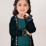 Velvet Embroidered Gown With Blouse And Flared Pants. (EFW-21)