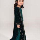 Velvet Embroidered Gown With Blouse And Flared Pants. (EFW-21)