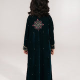Velvet Embroidered Gown With Blouse And Flared Pants. (EFW-21)
