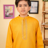 Kurta With Embroidery (FBK-924)