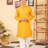 Kurta With Embroidery (FBK-924)