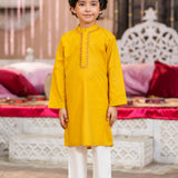 Kurta With Embroidery (FBK-S883)