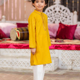 Kurta With Embroidery (FBK-S883)