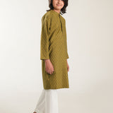 Kurta With Embroidery (FBSK-818)